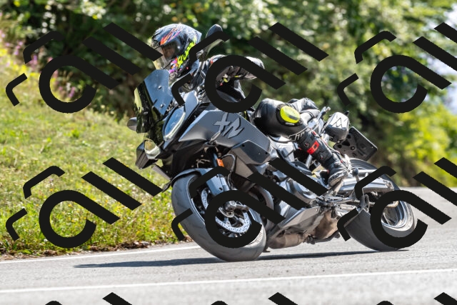 202509131454-DSC_9537_d2_