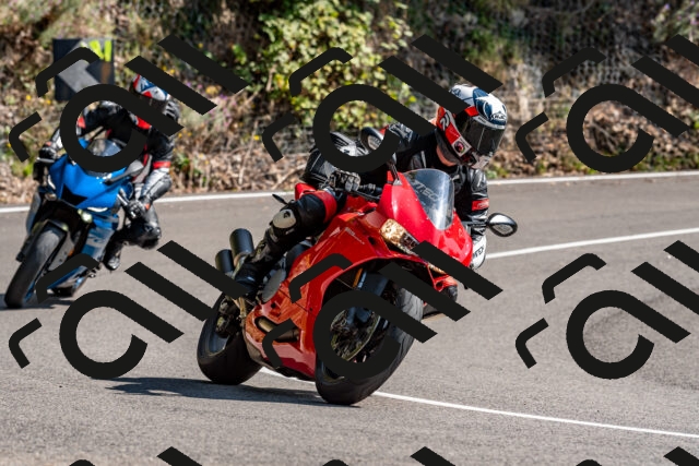 202509131454-DSC_9551_d2_