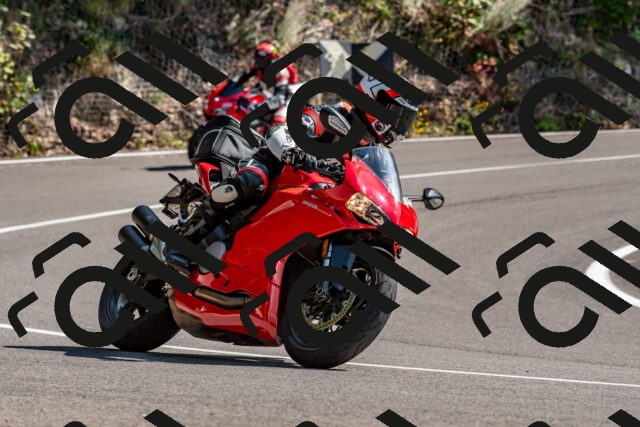 202509131454-DSC_9552_d2_