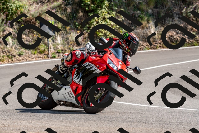 202509131454-DSC_9555_d2_