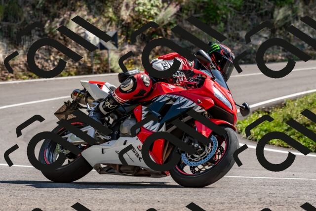 202509131455-DSC_9556_d2_