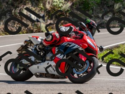 202509131455-DSC_9556_d2_