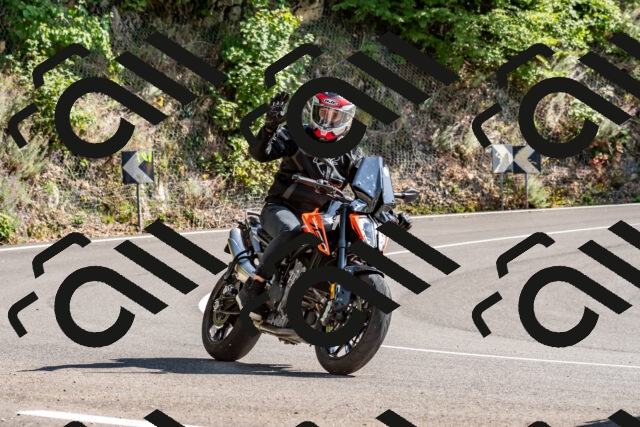 202509131455-DSC_9562_d2_