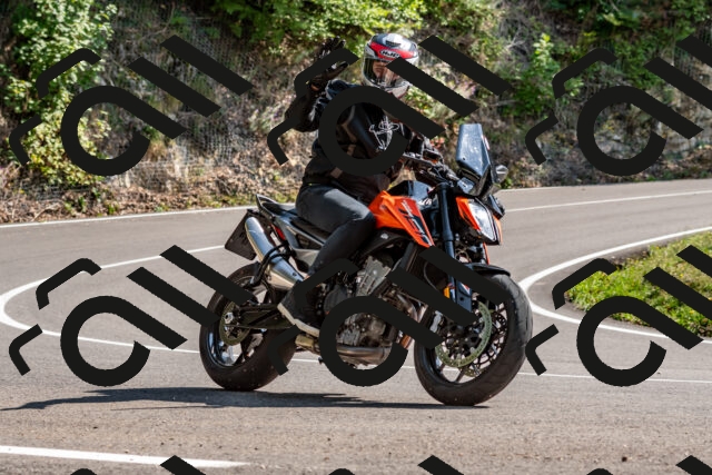 202509131455-DSC_9563_d2_