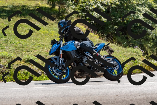 202509131456-DSC_9565_d2_