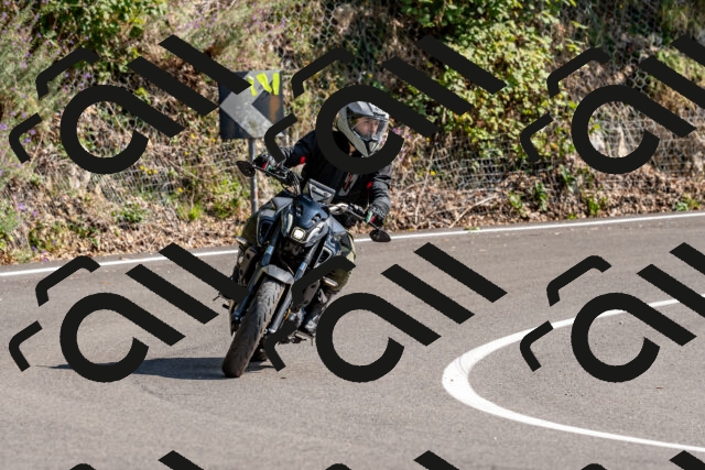 202509131507-DSC_9580_d2_