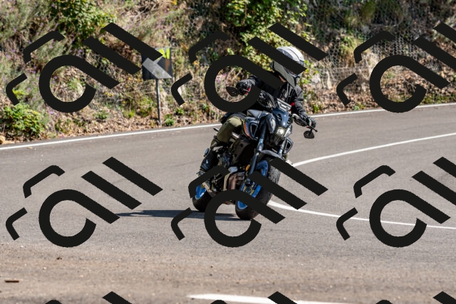 202509131507-DSC_9581_d2_