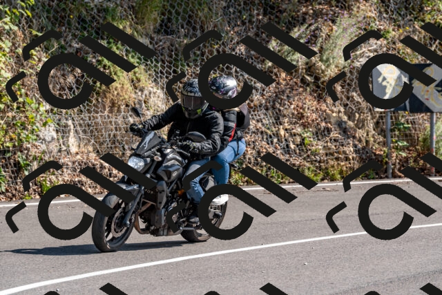 202509131512-DSC_9584_d2_