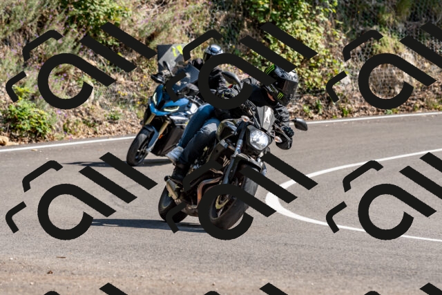 202509131512-DSC_9586_d2_