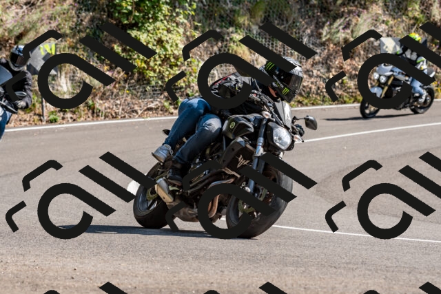 202509131512-DSC_9587_d2_