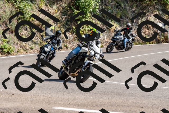 202509131512-DSC_9591_d2_