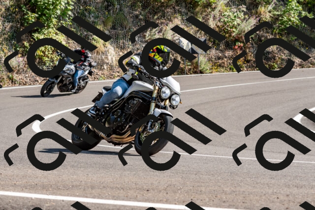 202509131512-DSC_9592_d2_