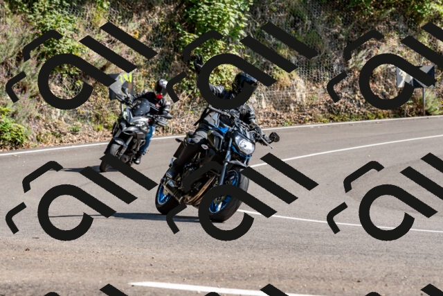 202509131512-DSC_9593_d2_