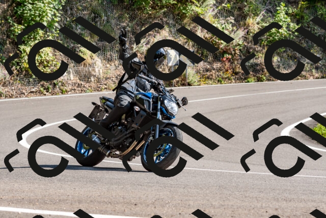 202509131512-DSC_9594_d2_