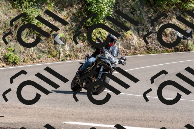 202509131512-DSC_9595_d2_