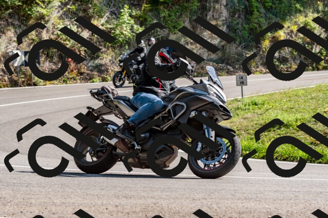 202509131512-DSC_9597_d2_