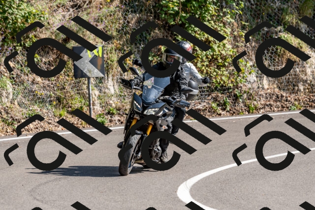 202509131513-DSC_9598_d2_