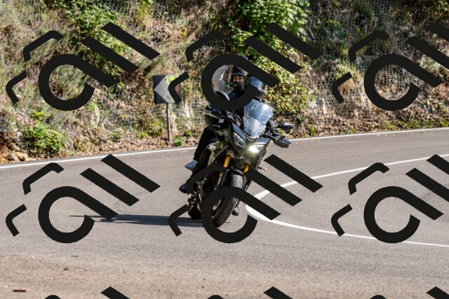 202509131513-DSC_9599_d2_