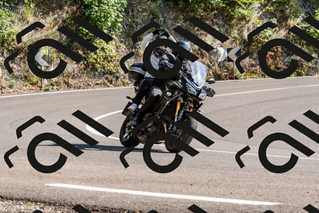 202509131513-DSC_9600_d2_