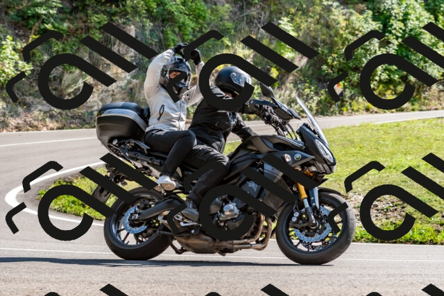 202509131513-DSC_9602_d2_