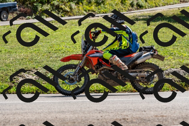 202509131515-DSC_9604_d2_