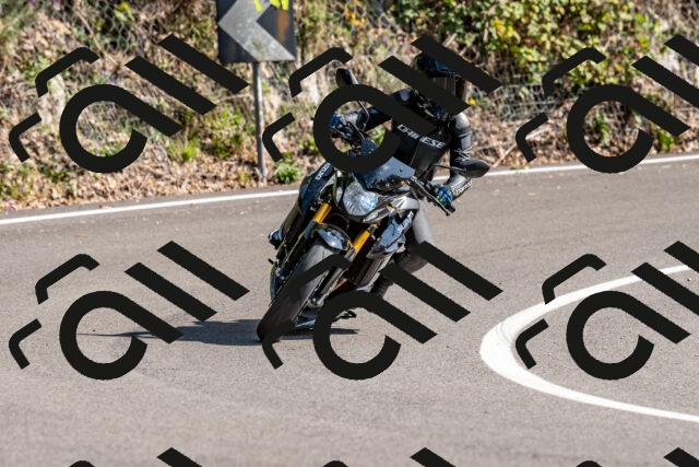 202509131515-DSC_9615_d2_