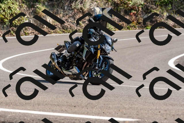 202509131515-DSC_9616_d2_