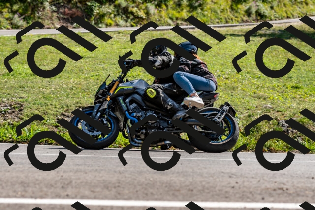 202509131518-DSC_9629_d2_