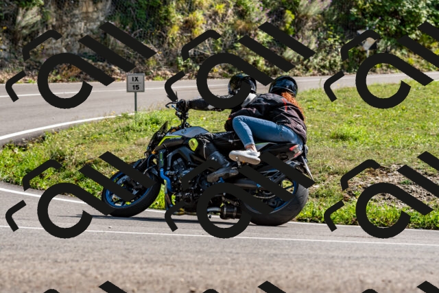 202509131518-DSC_9630_d2_