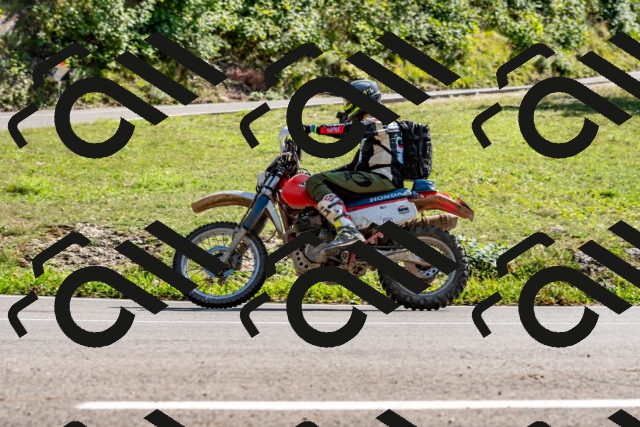 202509131518-DSC_9637_d2_