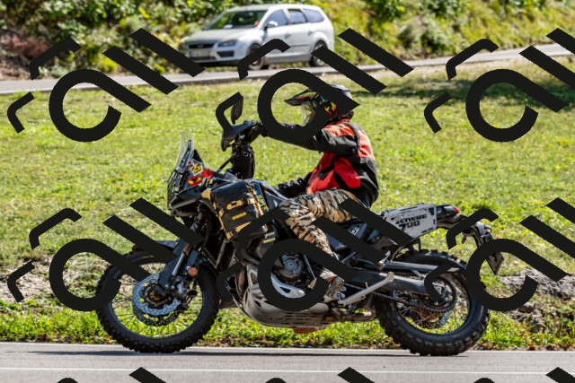 202509131519-DSC_9642_d2_