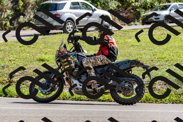 202509131519-DSC_9643_d2_