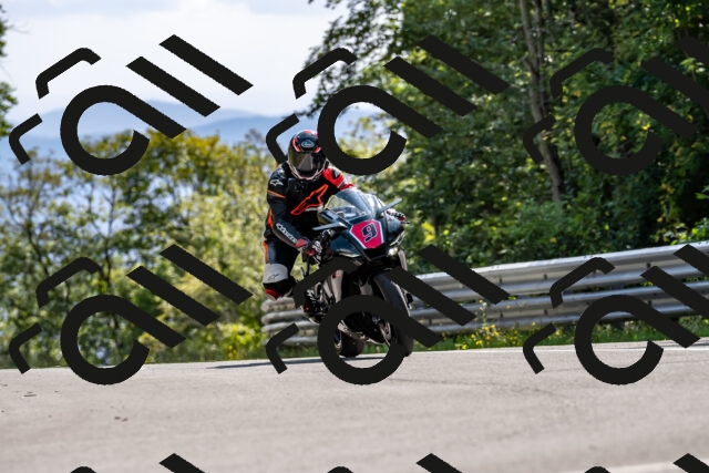 202509131520-DSC_9651_d2_