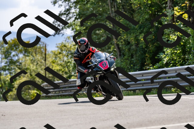 202509131520-DSC_9652_d2_