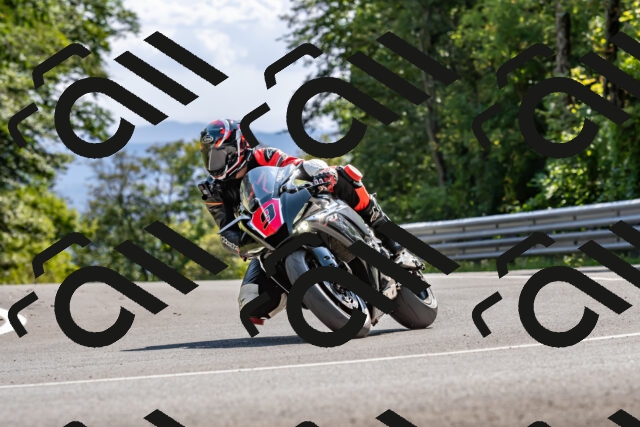 202509131520-DSC_9655_d2_