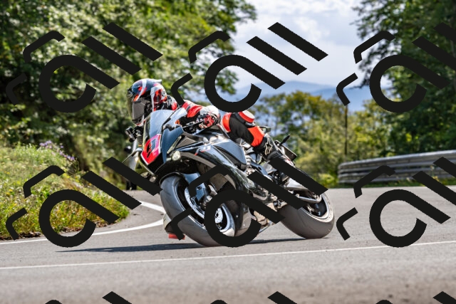 202509131520-DSC_9656_d2_