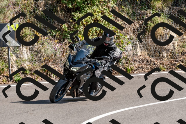 202509131520-DSC_9667_d2_