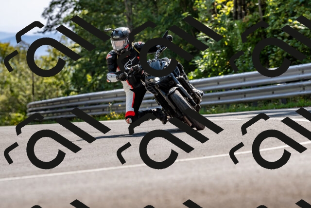 202509131524-DSC_9680_d2_