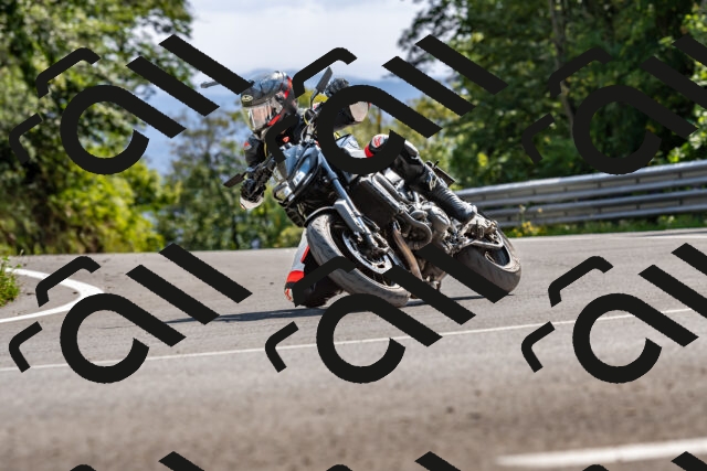 202509131524-DSC_9681_d2_