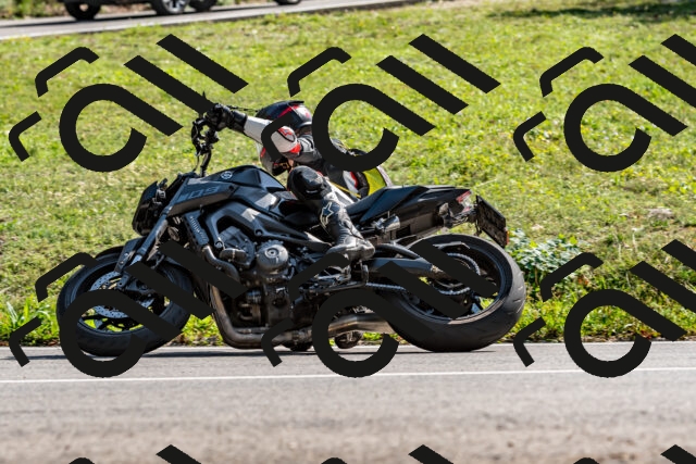 202509131524-DSC_9684_d2_