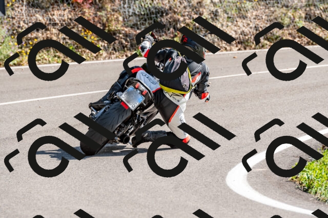 202509131524-DSC_9686_d2_