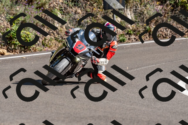 202509131524-DSC_9689_d2_