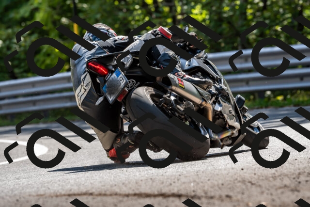 202509131524-DSC_9696_d2_