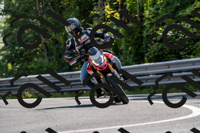 202509131525-DSC_9703_d2_