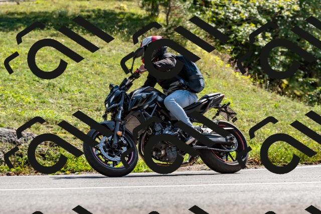 202509131525-DSC_9708_d2_