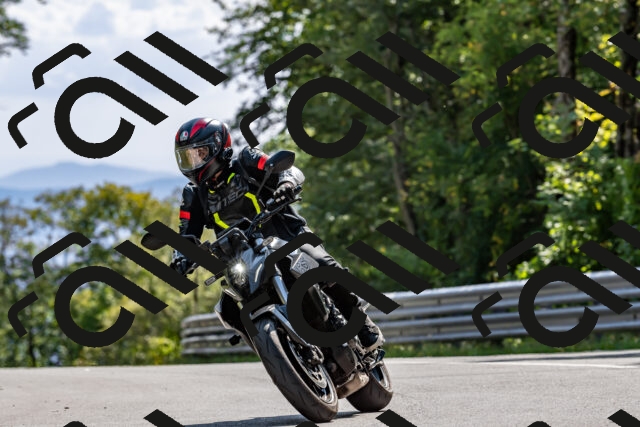 202509131525-DSC_9710_d2_