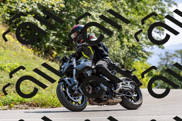 202509131525-DSC_9711_d2_