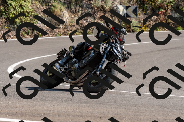 202509131525-DSC_9716_d2_