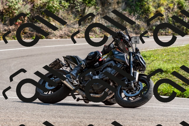 202509131525-DSC_9717_d2_