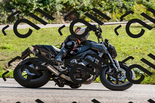 202509131525-DSC_9718_d2_